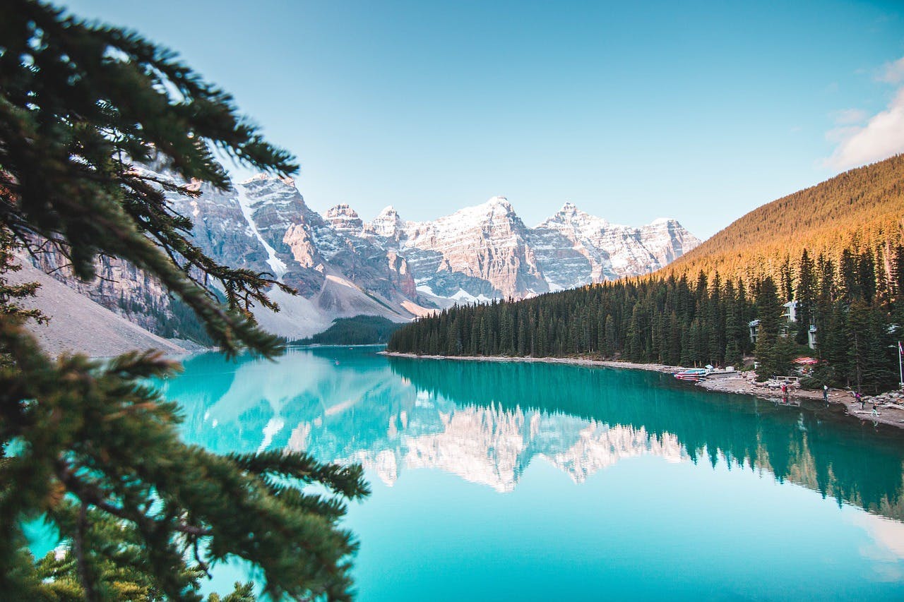 Snow-capped mountains reflect in a clear, turquoise lake, bordered by dense evergreen forest, with a few tree branches positioned in the foreground and a bright, sunny sky overhead.