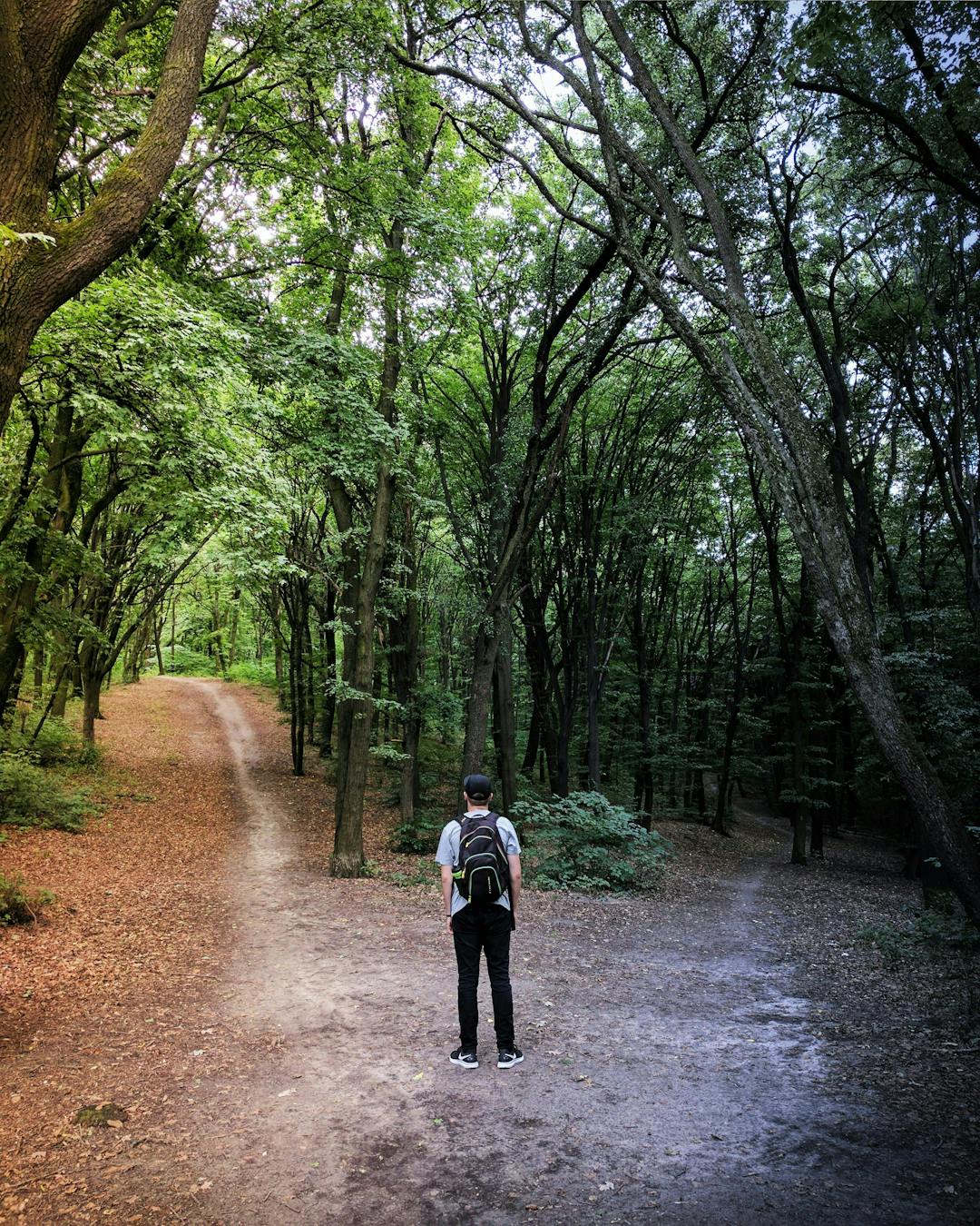 Person stands at a fork in a forest path, deciding between a well-lit, grassy left trail and a darker, more enclosed right trail. The surrounding forest is dense with tall trees.