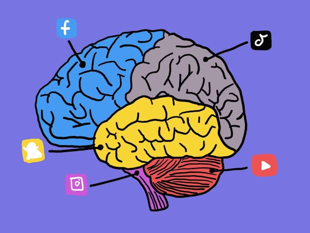 A colorful illustrated brain divided into sections, each connected to a social media icon: Facebook (blue), TikTok (gray), Snapchat (yellow), Instagram (pink), and YouTube (red), on a purple background.