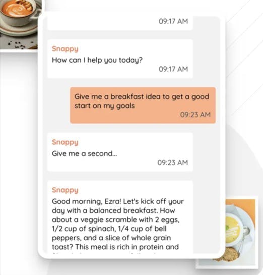 Example of real-time conversation between AI nutritionist and user

Photo source: SnapCalorie