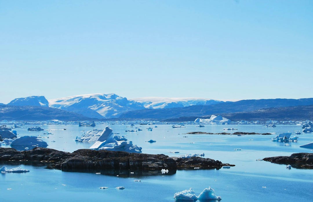 Icebergs floating among water, with frigid mountains in the distance and a clear sky overhead. Snow-covered ground complements a serene arctic landscape.