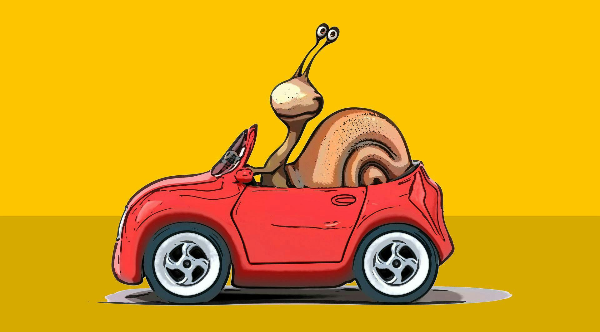 drawing of a snail driving a car